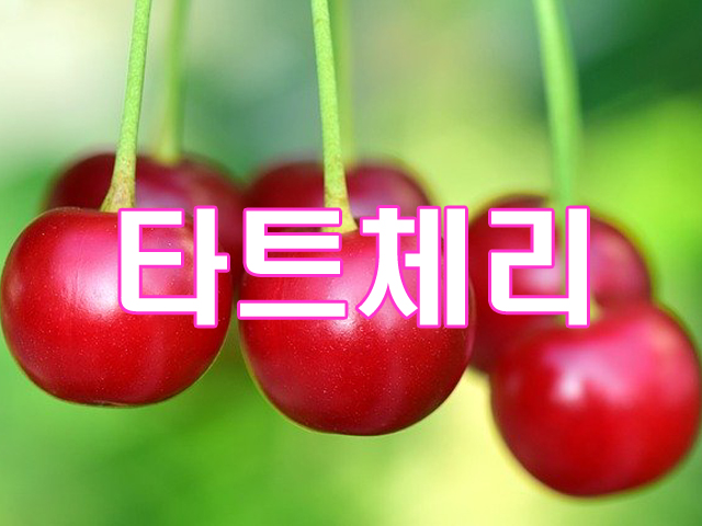 타츠체리 효능을 알고 나서 매일 마시게 되는 타츠체리 원액 주스로 즐겨보세요.