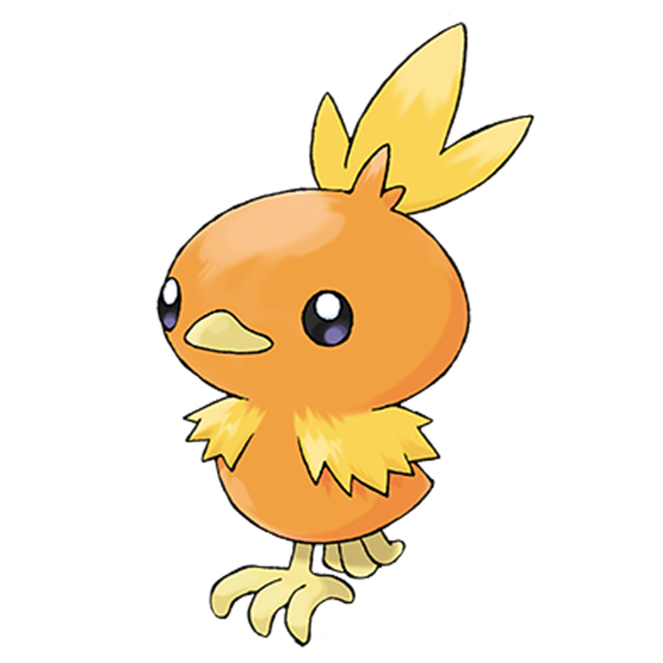 [포켓몬도감]  No. 255 아차모 Torchic #255