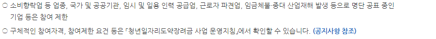 청년 일자리 도약 장려금 신청 요건&#44; 지원 제외 대상 (사업장 요건)