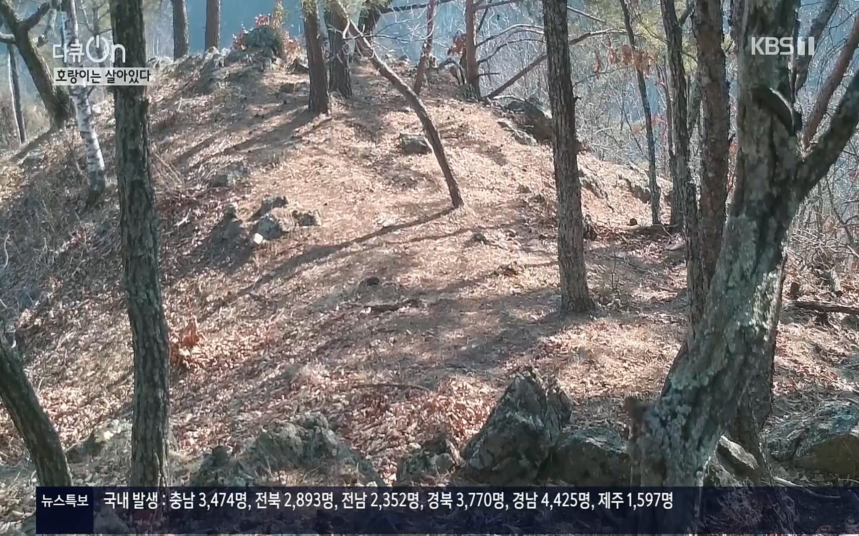 다큐 On.E150.220729p.H264-F1RST.mp4_20220730_164100.226.jpg