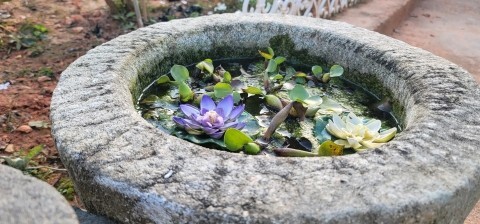 김제상사 이미지