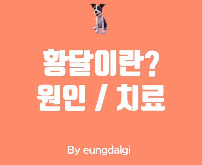  황달 치료법: 알아야 할 모든 것