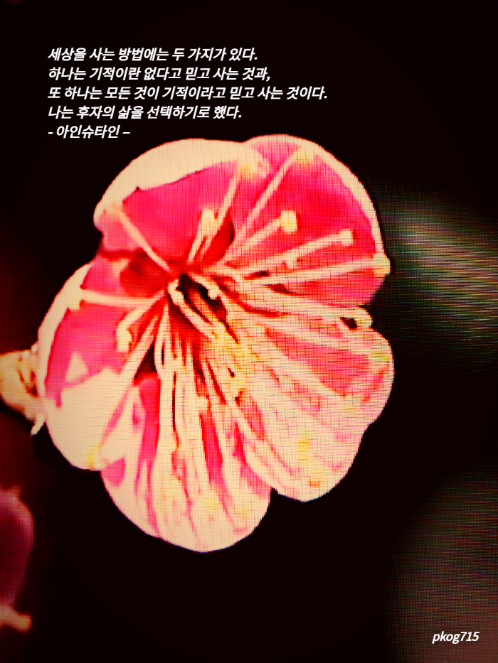 술항아리 이미지