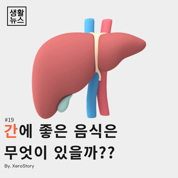  생활건강#19 인체의 중요한 기관 간에 좋은 음식 5가지