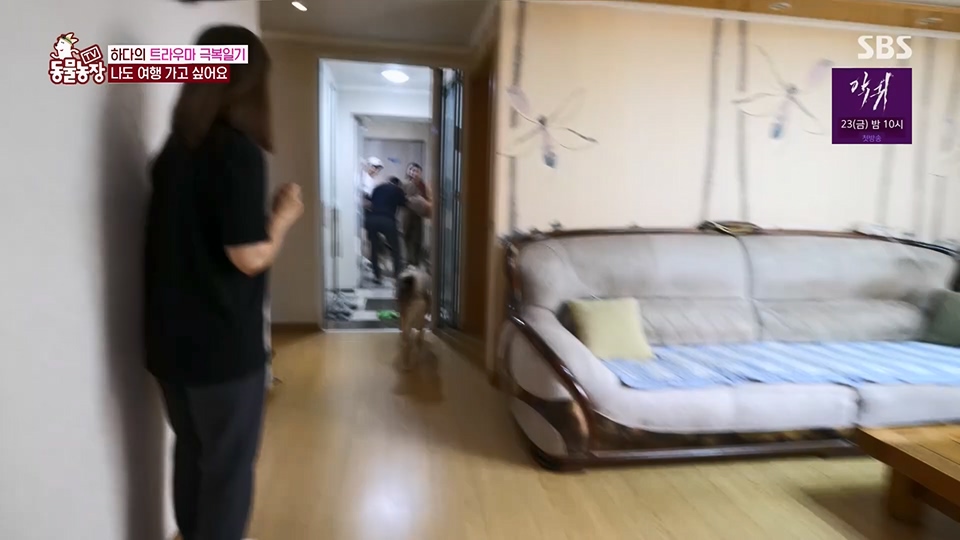 TV 동물농장.E1125.230618p.H264-F1RST.mp4_20230618_192126.091.jpg
