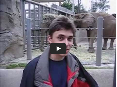  유튜브 최초 업로드 영상이 주는 영감 me at the zoo 자베드 카림