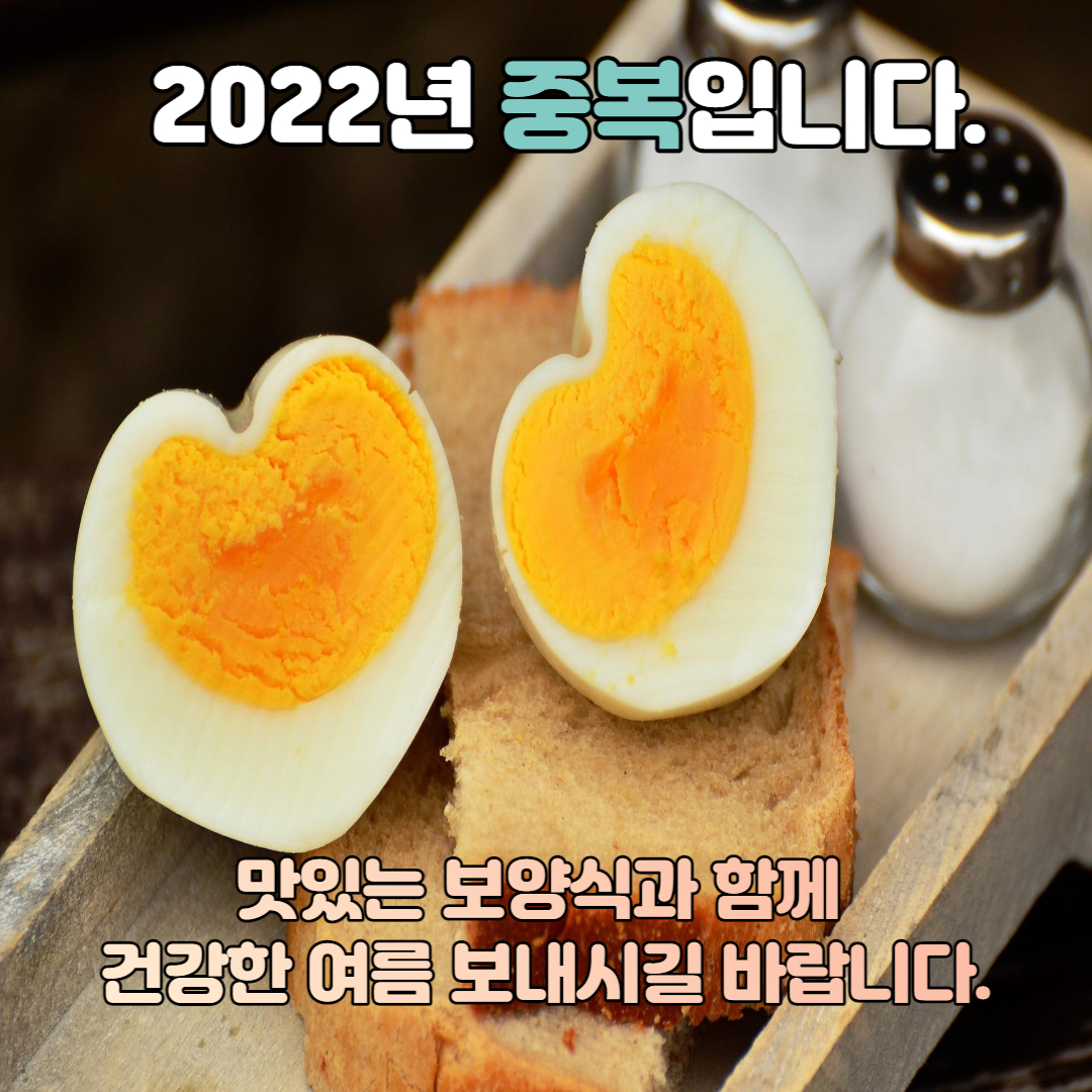  2022년 중복 인사말 이미지, 문구, 메세지
