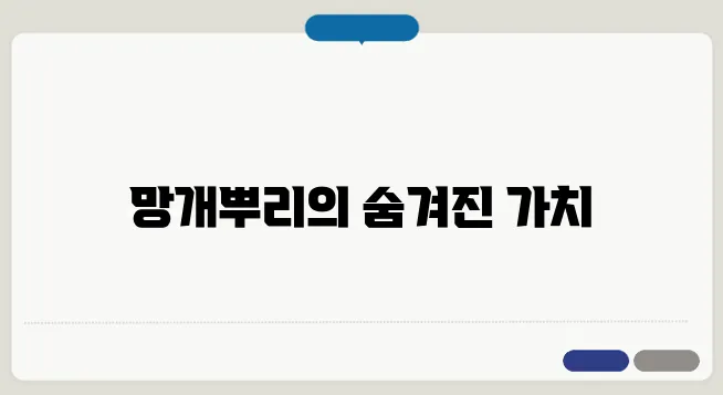 망개뿌리 효능과 건강 효과