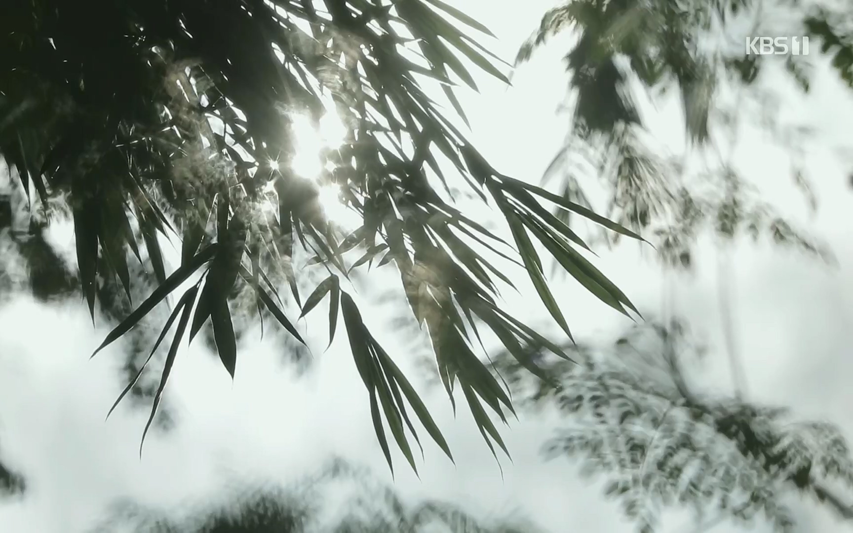 다큐 On.E157.220916p.H264-F1RST.mp4_20220917_184337.352.jpg