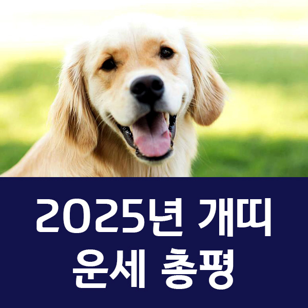 2025년 개띠 운세 총운 도약과 안정의 해