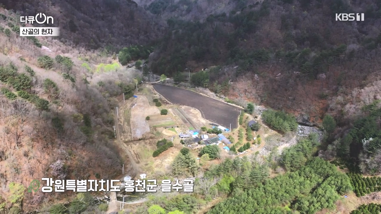 다큐 온.E245.240414p-NEXT.mp4_20240414_140135.784.jpg