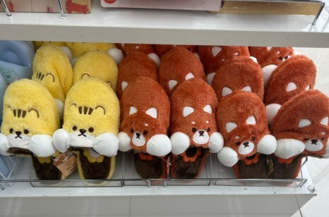 빵빵베이커리 이미지