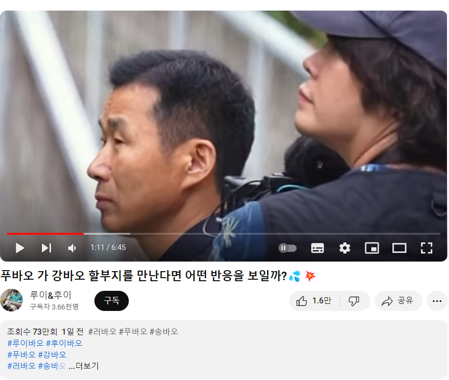 푸바오와 강할부지 만남?! 중국 간 강바오 사육사 동영상, 쌍둥바오 루이,후이 생일파티 인형, 굿즈