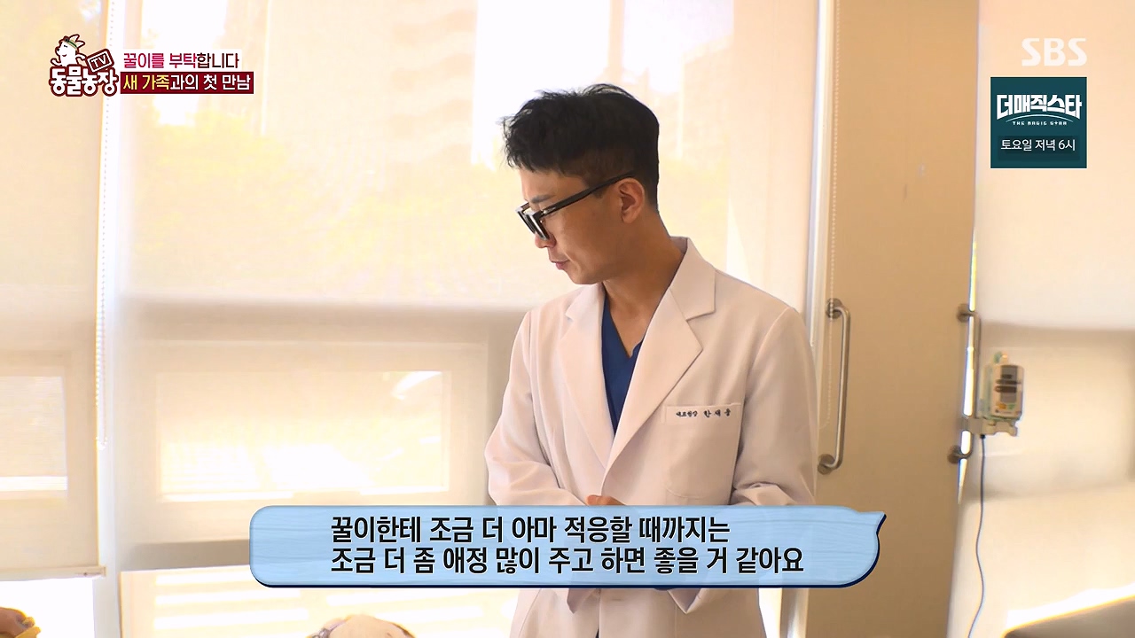 TV 동물농장.E1174.240603p-NEXT.mp4_20240602_155748.365.jpg