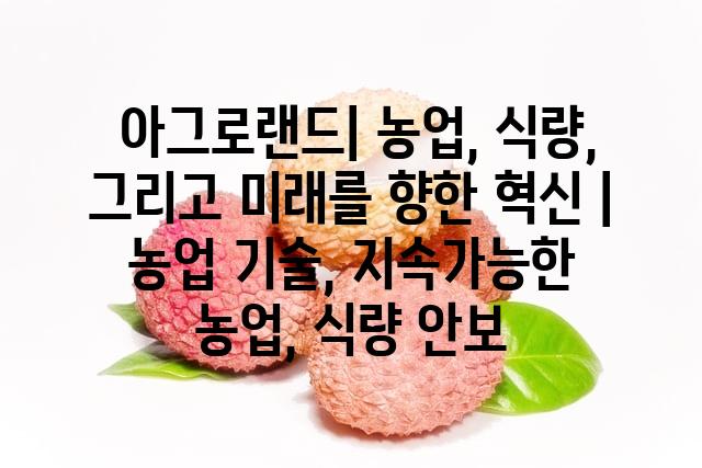 랜덤146