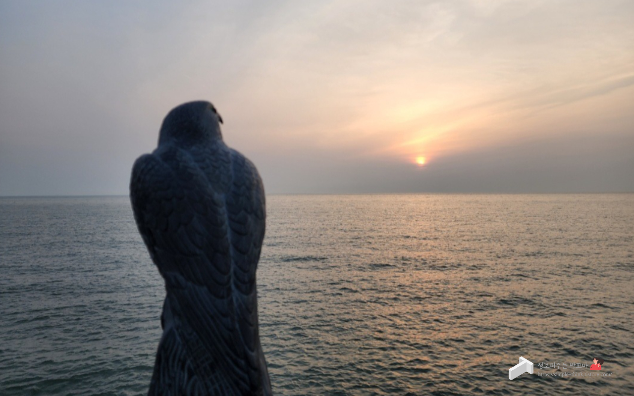 핸드폰을 이용하여 선명한 고해상도 사진 바꾸는 방법