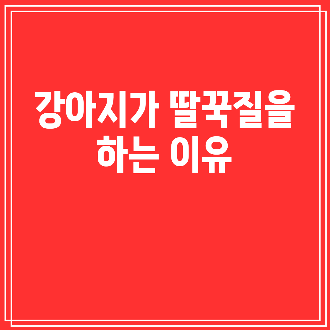 강아지가딸꾹질을하는이유