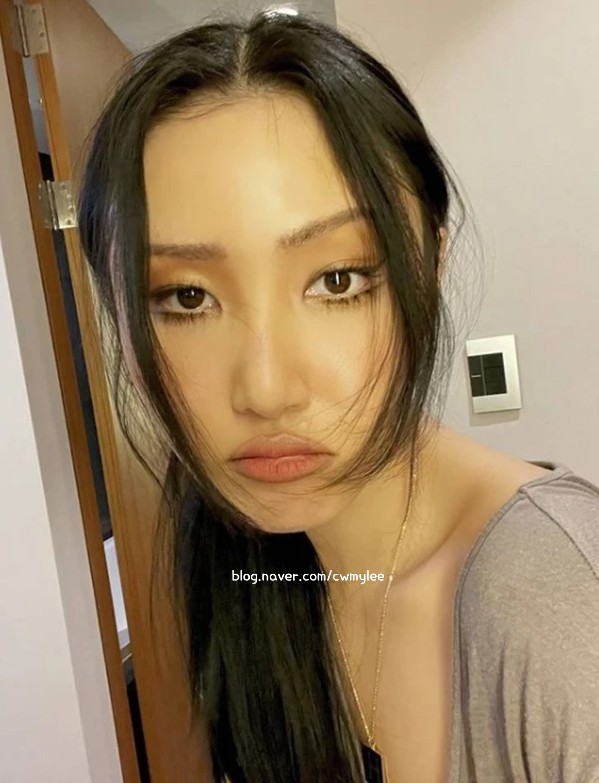 차이 혜성 나이 학력 고향 프로필 샤이니키 박나래 기안84 성훈 이사 화사 422회 2022 나홍산 나홍자산다 달력 구매정보 20일 자정 파는곳 전현무 집아파트 위치 81