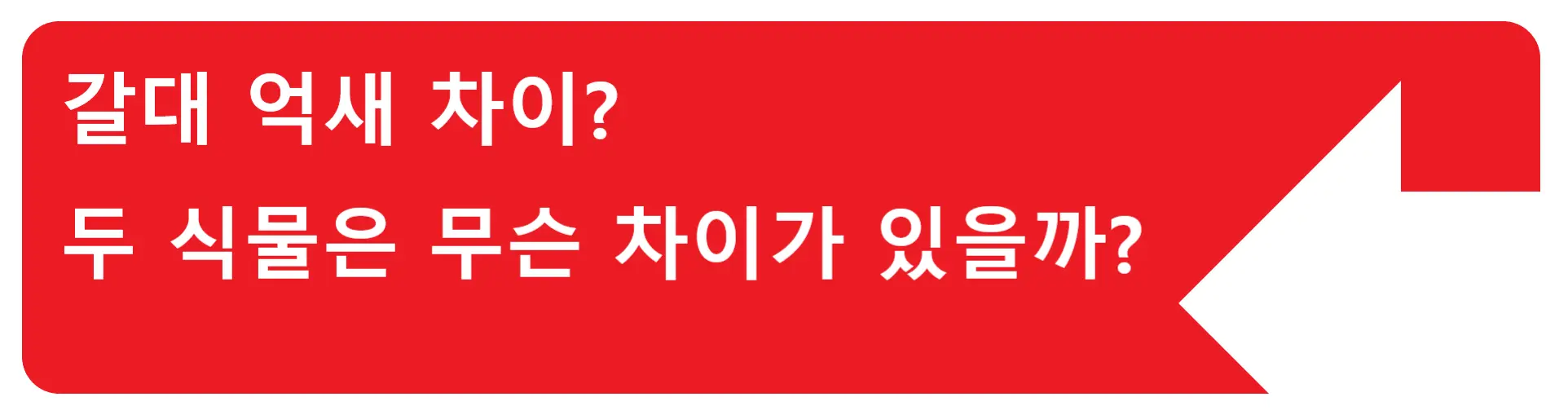 착상혈 생리 차이? 생각보다 쉽게 구분할 수 있어요! &quot;이것&quot;만 알면 돼요!