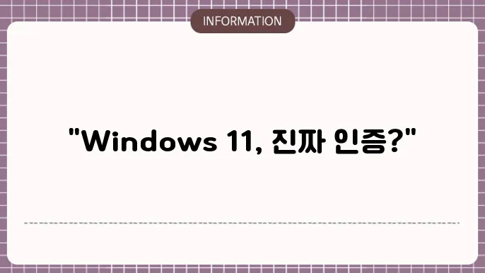windows 11 정품인증
