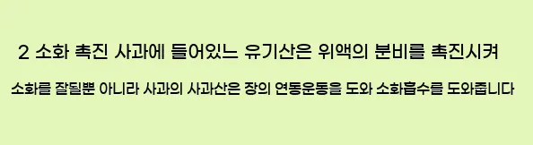  2 소화 촉진 사과에 들어있느 유기산은 위액의 분비를 촉진시켜 소화를 잘될뿐 아니라 사과의 사과산은 장의 연동운동을 도와 소화흡수를 도와줍니다