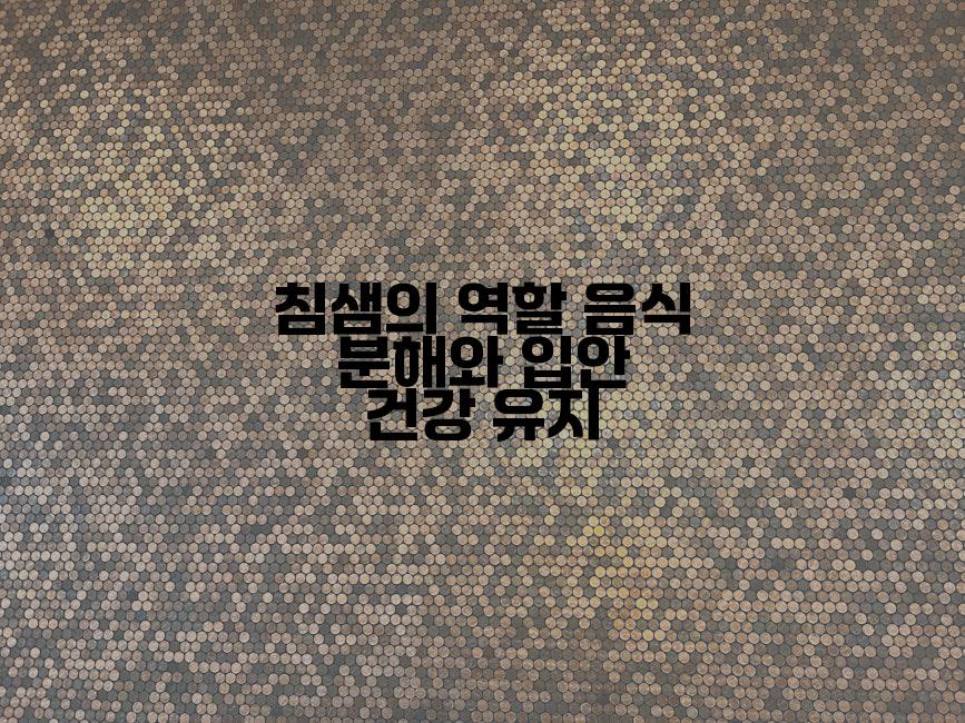 침샘의 역할 음식 분해와 입안 건강 유지