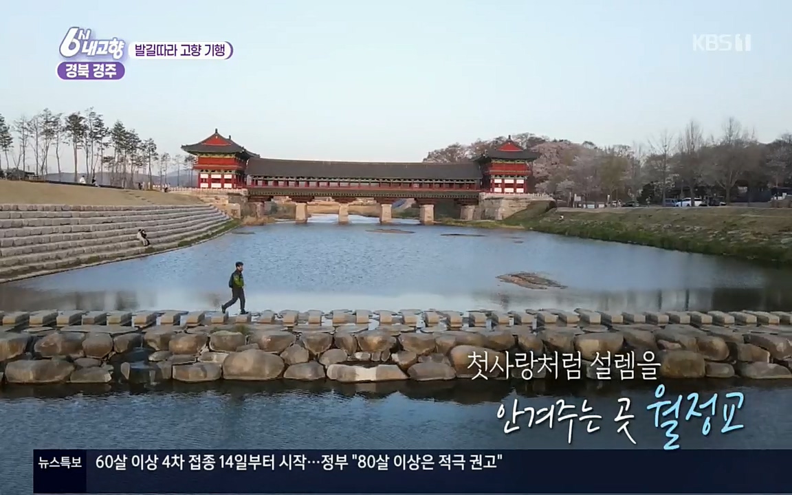 6시 내고향.E7510.220414p.H264-F1RST.mp4_20220419_185410.580.jpg