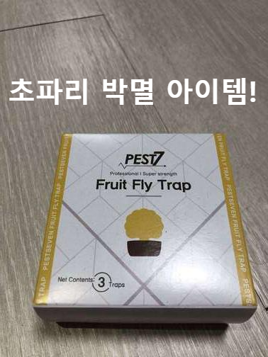  초파리 트랩 이거 하나로 귀찮은 초파리 박멸!