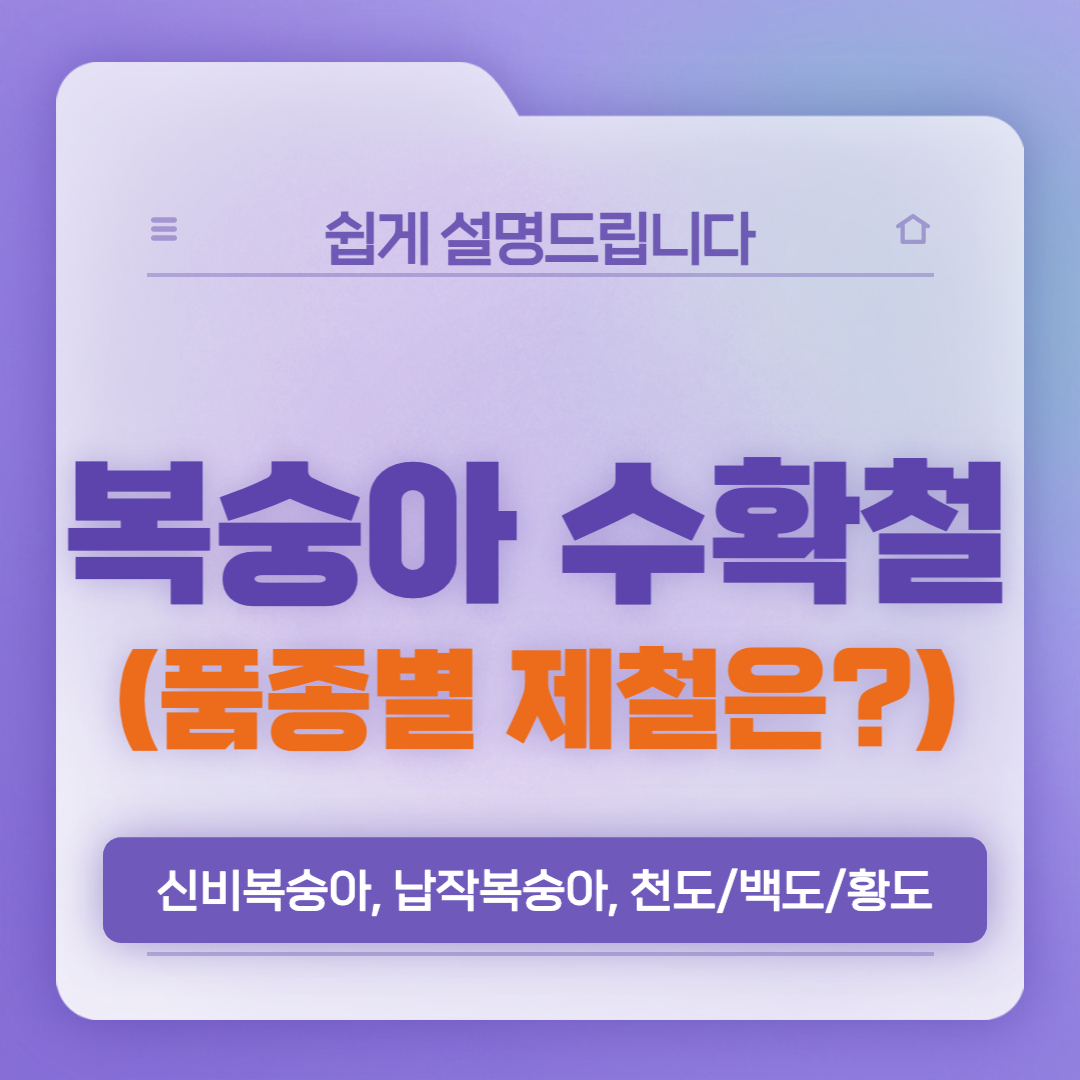 복숭아 철 썸네일