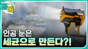 세균 인공눈