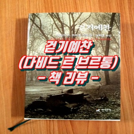  걷기예찬 - 다비드 르 브르통 (책 리뷰)