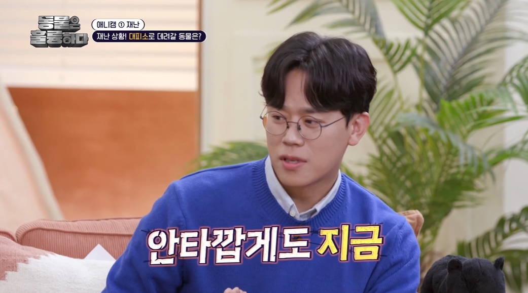 반려인들은 알아두면 좋을 만한 정보들...jpg | 인스티즈