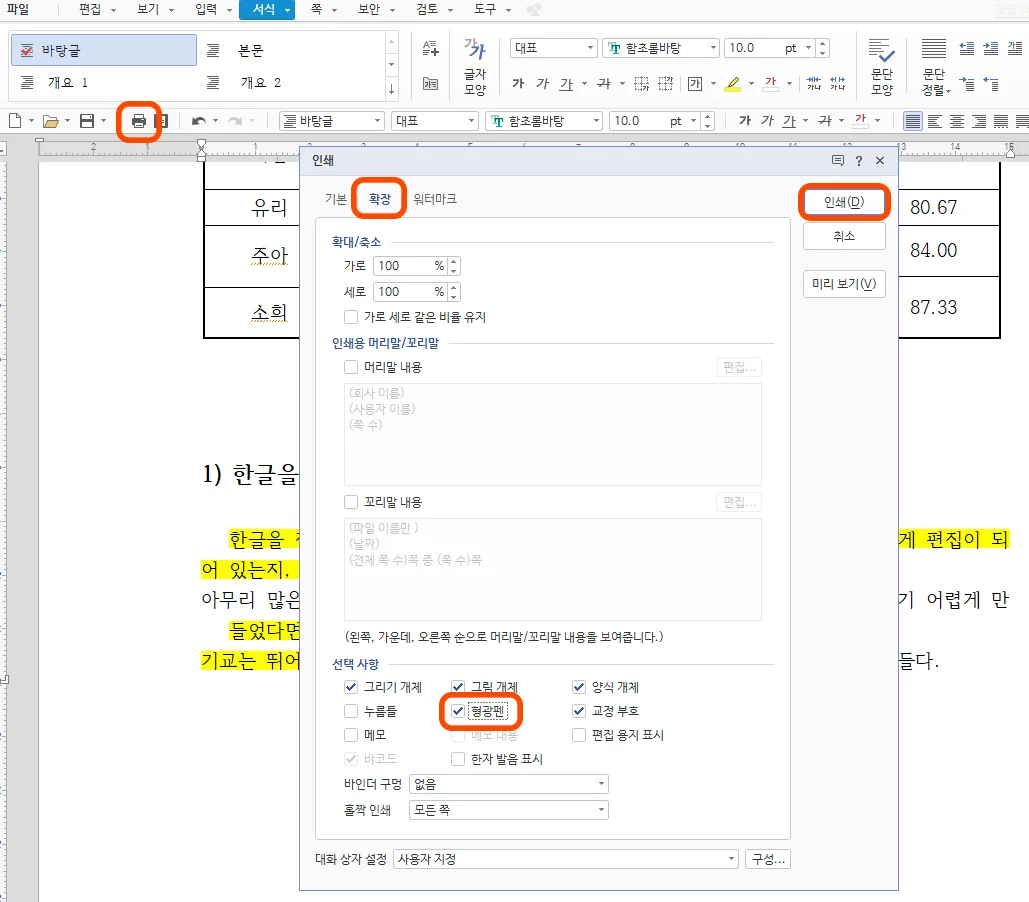 한글에서 인쇄를 눌러 형광펜이 인쇄되도록 설정한 모습