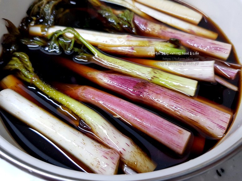 거창 대구 판매 손질 및 보관법 제철 봄나물 우도열매 - 2021년 10