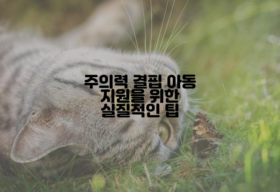 주의력 결핍 아동 지원을 위한 실질적인 팁