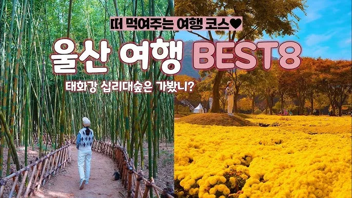 울산 가볼만한곳 베스트10 현지인 추천 필수코스_7