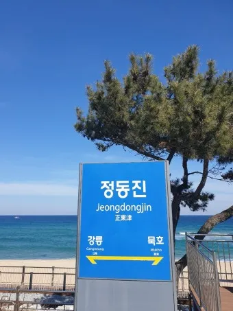 정동진역 ktx 기차시간표 요금표 예매_7
