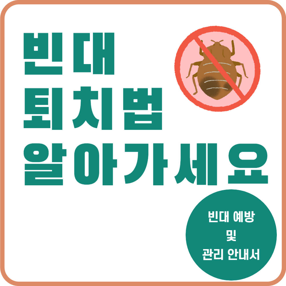 빈대 퇴치법