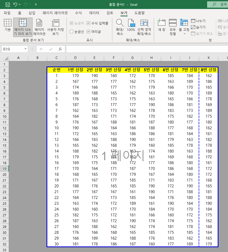 페이지 나누기 미리 보기 화면
