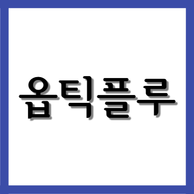  옵틱플루 점안액, 효능과 주의사항 자세히 알아보기