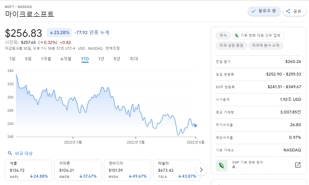 마이크로소프트 YTD 주가흐름