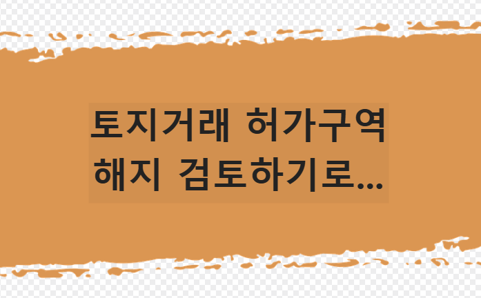 토지거래허가구역