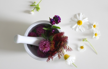 이지에프 새살연고: 성분&amp;#44; 효능&amp;#44; 사용법 알아보기