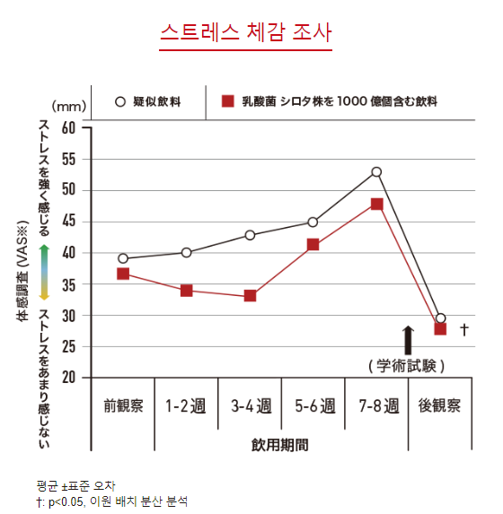 스트레스체감정도