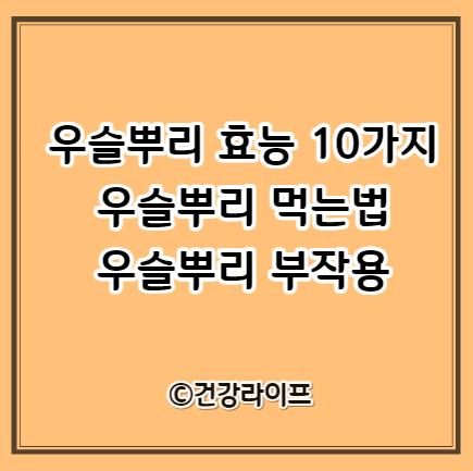 우슬뿌리 효능 10가지&#44; 우슬뿌리 먹는법&#44; 우슬뿌리 부작용