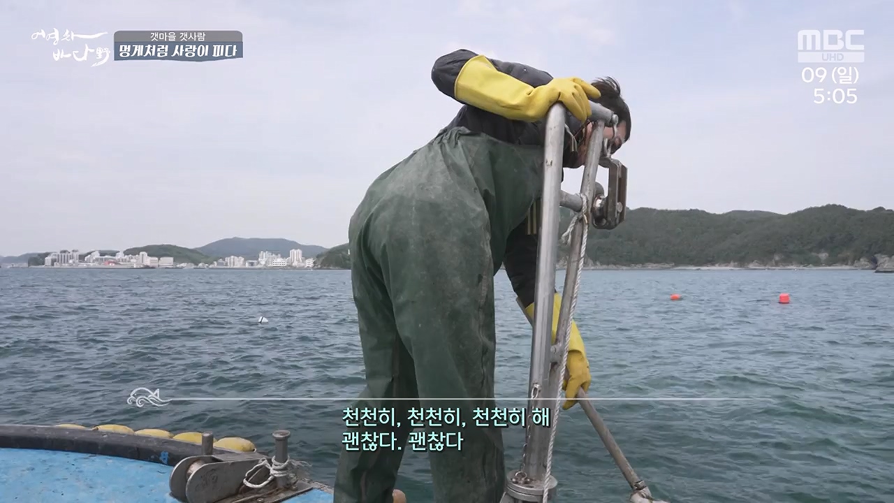 MBC 네트워크 특선 푸른백세 어영차 바다야.E1684.240610p-NEXT.mp4_20240611_203112.284.jpg