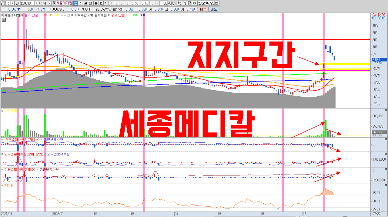  세종메디칼 주식 전망 | 카나리아바이오 인수 결정 , 코로나19 치료제 제넨셀 관련주 기술적 분석 차트 분석 주가 전망