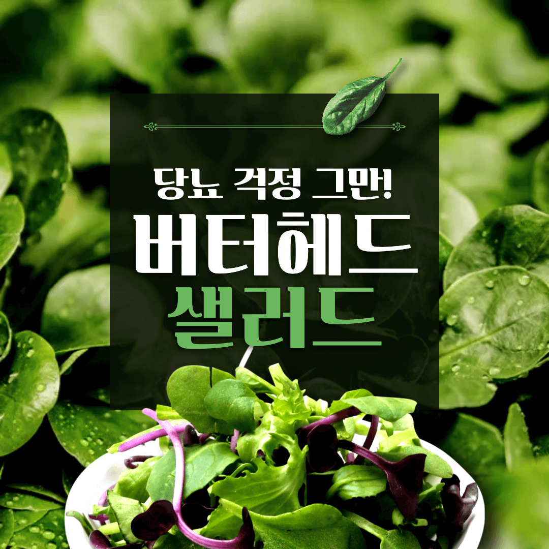버터헤드 샐러드