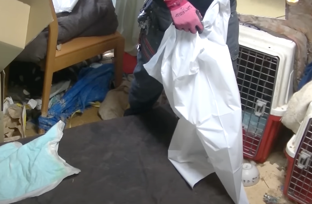  폐기물처리방법 폐지수거업체
