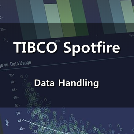  [TIBCO Spotfire] Data Handling
